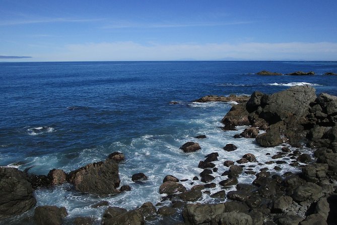 "Pinot to Palliser tour" - Guided tour to Cape Palliser vith lunch + winetasting - Seal watching along the coast