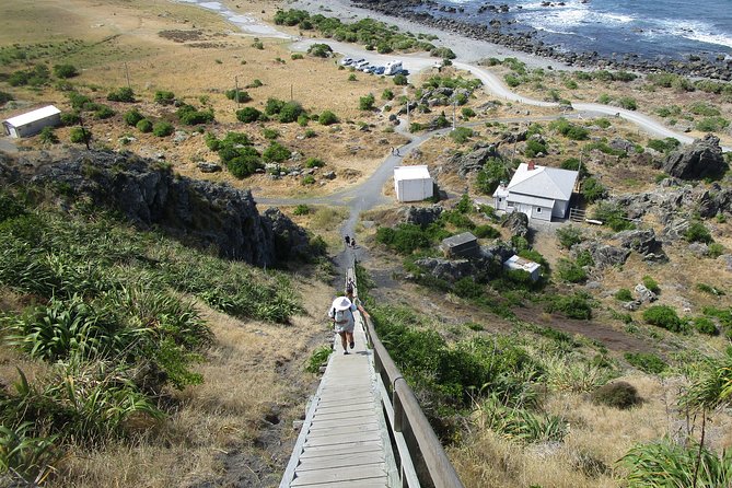 "Pinot to Palliser tour" - Guided tour to Cape Palliser vith lunch + winetasting - Finishing with Martinborough wine