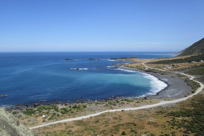 "Pinot to Palliser tour" - Guided tour to Cape Palliser vith lunch + winetasting - What the $201.69 price really covers