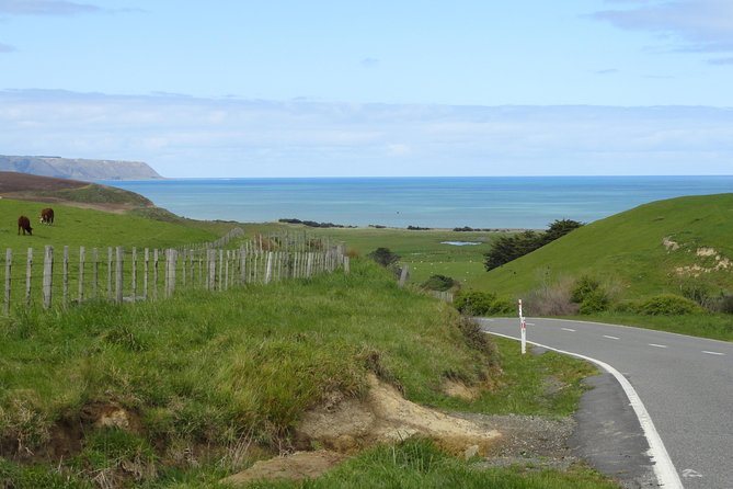 "Pinot to Palliser tour" - Guided tour to Cape Palliser vith lunch + winetasting - Cape Palliser lighthouse and the 250-plus steps