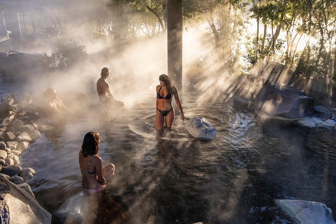 Polynesian Spa Rotorua: Deluxe Lake Spa Hot Spring Bathing - Is $49.61 good value?