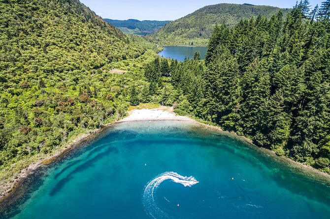 Ports of Tauranga/Rotorua/Tga - 6 Hours Rotorua Highlights Tour - Lunch, transport, and the real value