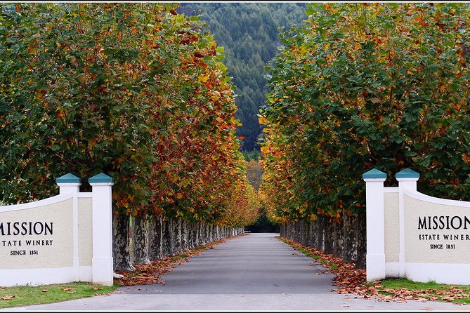 Premium 4 -Best Wineries Napier Hawke's Bay Tour, 5.5h - 6Hours - Is the food enough for lunch?
