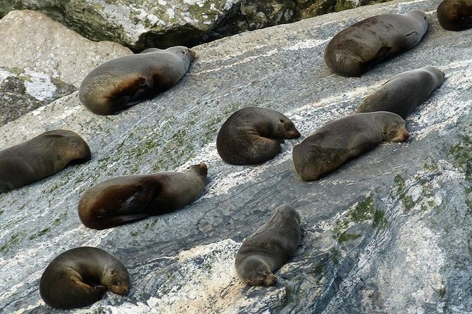 Premium Milford Sound Small Group Tour & Cruise from Queenstown - Eglinton Valley and the first big Fiordland views