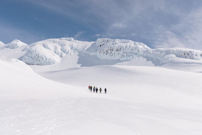 Premium Mt Ruapehu Summit Plateau Guided Group Hike - The volcanic views and crater lake