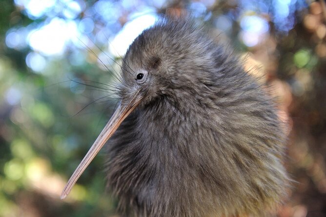 Private 2 Day Tour: Hobbiton, Waitomo, Rotorua Geothermal & Hamilton Gardens - Lake Rotorua offers a quieter start to day two