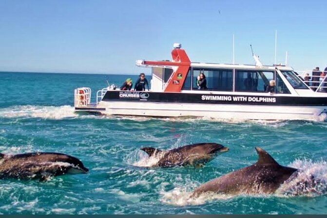 Private Akaroa Day Tour From Christchurch - The Giant’s House and other ways to use four hours