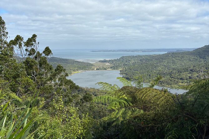 Private Auckland best Spots + Piha beach and rainforest day Tour - Why this private Auckland day works