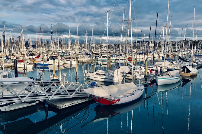 Private Auckland Best Top 5 Spots Half day Tour - Pickup, timing, and the cruise-port question