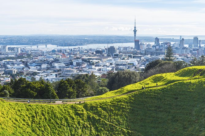Private Auckland City Tour Including Auckland Tour House Visit - A four-hour introduction to Auckland’s different faces