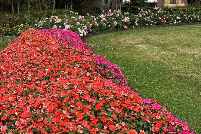 Private Auckland City Tour Including Auckland Tour House Visit - What the private format changes