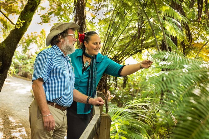 Private Auckland Half Day Tour - Who should book this Auckland tour?