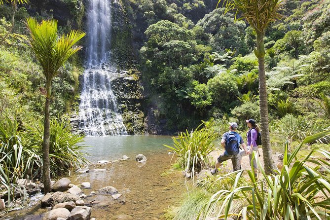 Private Auckland Luxury Tour - One day, two sides of Auckland