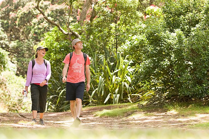 Private Auckland Luxury Tour - Karekare Falls and a short walk