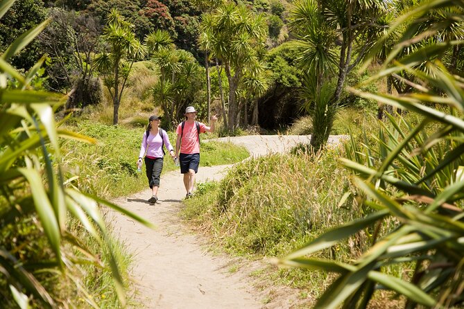 Private Auckland Luxury Tour - Tamaki Drive, Mission Bay, and the city’s eastern shore