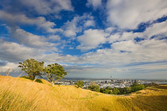 Private Auckland Luxury Tour - What the private Mercedes adds