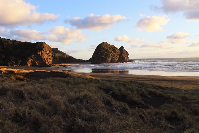 Private Auckland's West Coast - Piha/ Muriwai - Wild West Tour - Muriwai and the cliff-top gannet colony