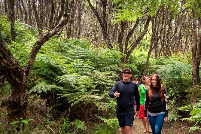 Private boat charter in Abel Tasman National Park - Split Apple Rock in ten minutes