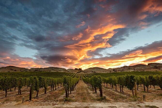 Private Central Otago Wine tasting Tour with Gourmet Lunch. - Through the Kawarau Gorge to Bannockburn