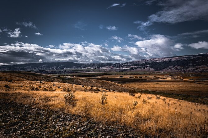 Private Central Otago Wine tasting Tour with Gourmet Lunch. - Bannockburn and its big views
