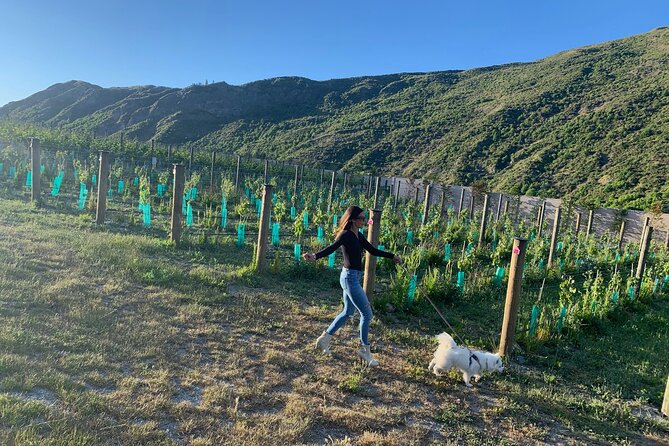 Private Dog Friendly Wine Tour with your Local Guide - A Four-Hour Waiheke Day Built Around You