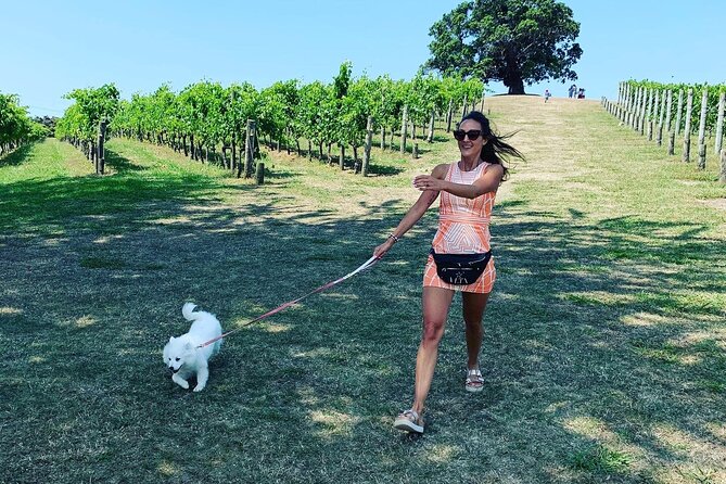 Private Dog Friendly Wine Tour with your Local Guide - The First Wine Tasting: Start With Your Preferences