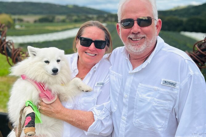 Private Dog Friendly Wine Tour with your Local Guide - A Second Walk and Waiheke’s Open Views