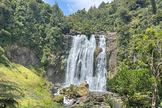 Private Driver Hire – Full-Day Touring-Auckland/Rotorua/Hamilton - A Private Road Day Instead of a Fixed Excursion