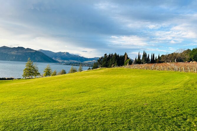 Private Driver Hire – Full-Day Touring-Auckland/Rotorua/Hamilton - Taupo Stops That Suit a Longer Day