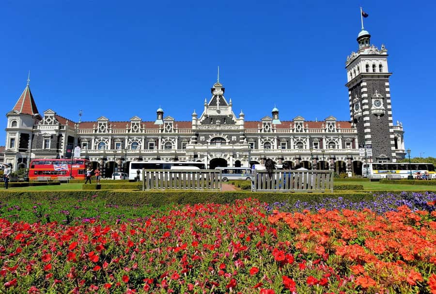 Private Dunedin City Highlights and Otago Peninsula Day Tour - The coastal drive changes the mood