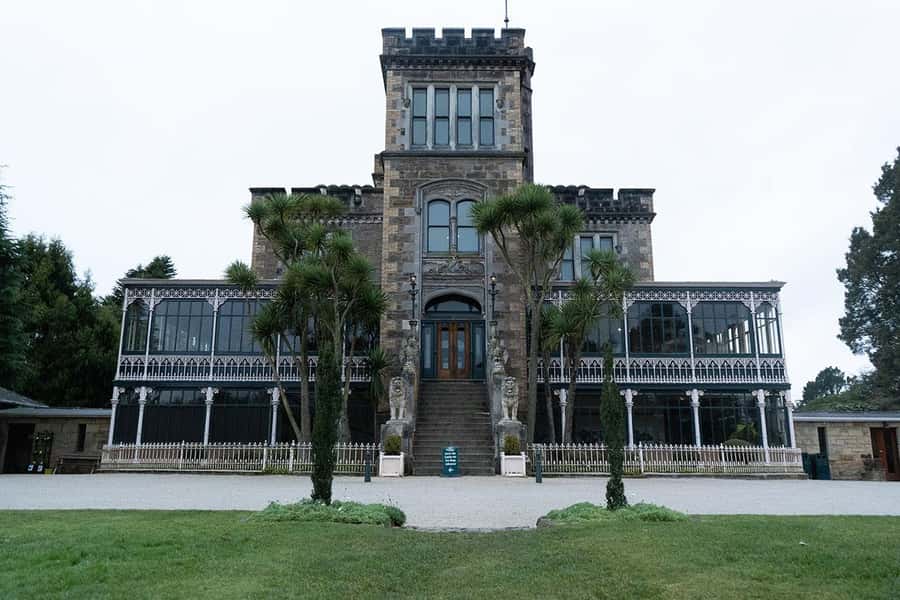 Private Dunedin City Highlights and Otago Peninsula Day Tour - The Royal Albatross Centre adds a wildlife finish