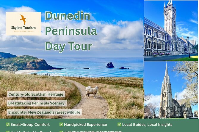Private Dunedin & Otago Peninsula Day Tour Up to 4 - Why this private Dunedin tour works well