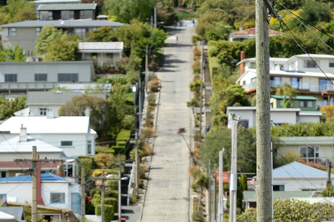 Private Dunedin & Otago Peninsula Day Tour Up to 4 - Dunedin Railway Station is a 15-minute architecture stop
