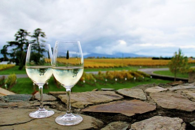 Private Excursion: Scenic and Seascape Delights from Picton - Makana Confections delivers the sweetest stop