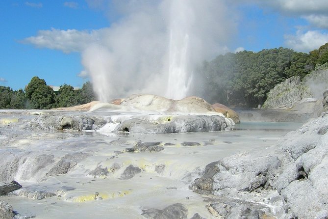 Private Full-Day Rotorua Tour from Auckland - Te Puia, where culture meets steaming ground