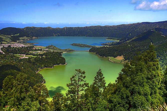 Private Full-Day Rotorua Tour from Auckland - Whakarewarewa Forest and the redwood stop