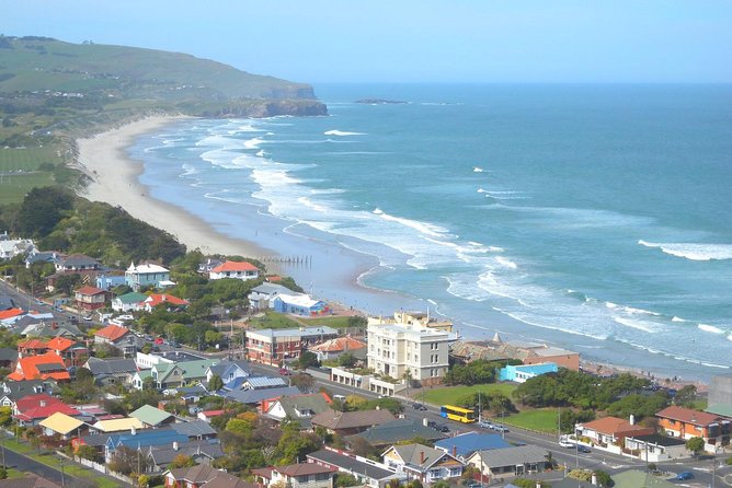 Private Guided Tour of Dunedin City Heritage and Unique Wildlife and Scenery - Key points at a glance