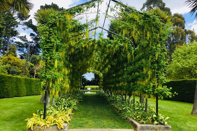 Private Guided Tour of Dunedin City Heritage and Unique Wildlife and Scenery - Driving the Otago Peninsula