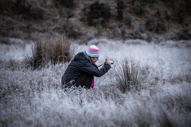 Private Half Day Photography Tour of Queenstown | Skippers | Glenorchy - The 4WD, snacks, and half-day rhythm