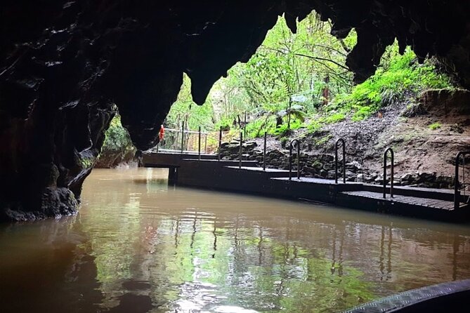 Private Hobbiton & Blue Springs Day Trip from Auckland - Small details that can improve the day