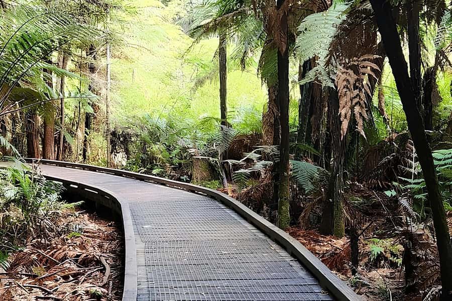 Private Hobbiton & BlueSprings & Redwood forest fromAuckland - Should you book this private Auckland day trip?