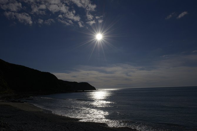 Private Kapiti Coast Full Day Tour - Raumati and Paraparaumu Beach