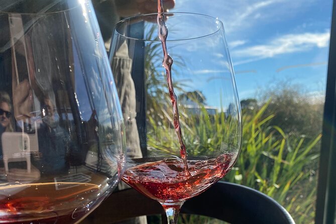 Private Martinborough Wine Tour for Wine Enthusiasts - Why this Martinborough wine day feels different