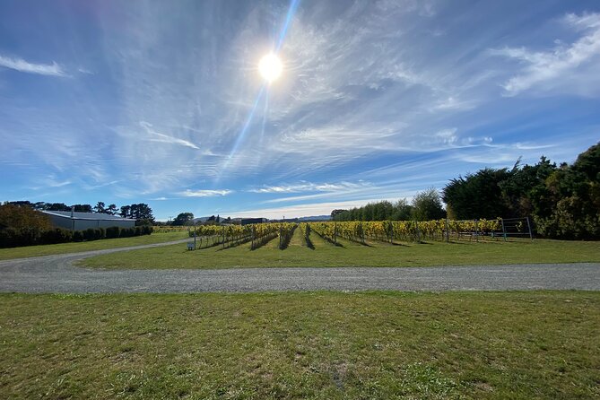 Private Martinborough Wine Tour for Wine Enthusiasts - Poppies finishes with a long tasting and food