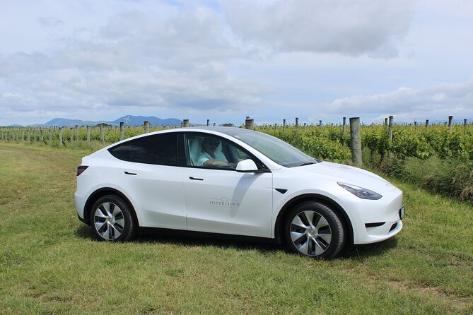 Private Martinborough Wine Tour in an Electric Vehicle - Tesla Model Y - From Wellington to Kaitoke’s Rivendell forest