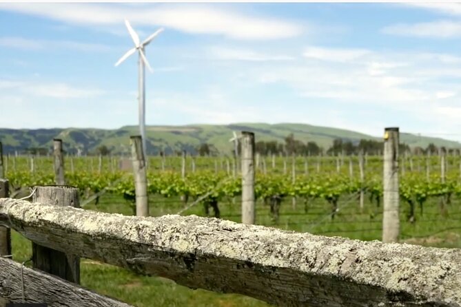 Private Martinborough Wine Tour in an Electric Vehicle - Tesla Model Y - Schubert Wines and Martinborough’s smaller scale