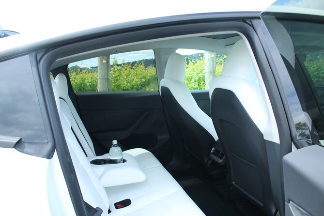 Private Martinborough Wine Tour in an Electric Vehicle - Tesla Model Y - A short browse through Martinborough Wine Centre