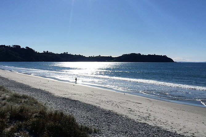 Private Personalised Tour in Waiheke Island - What the private guide adds