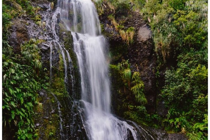 Private Piha Beach, Rainforest Adventure & Mt. Eden with Guide - Why this five-hour Auckland outing works