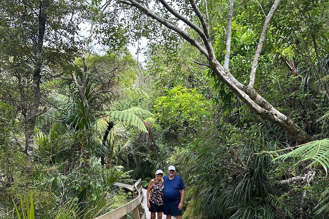 Private Piha Beach, Rainforest Adventure & Mt. Eden with Guide - Piha Beach, black sand and Lion Rock
